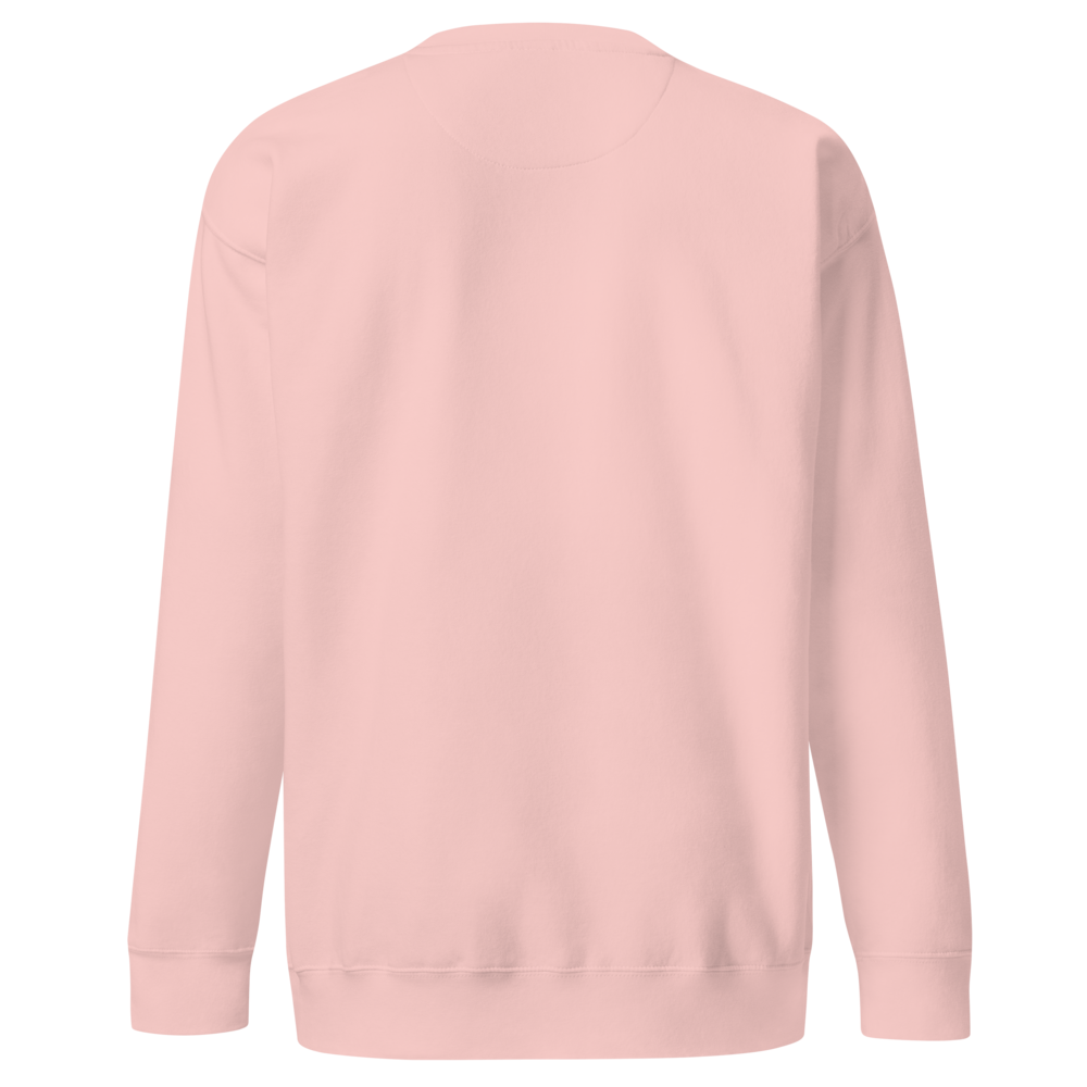 Printful Light Pink sweatshirt, garment-only back view