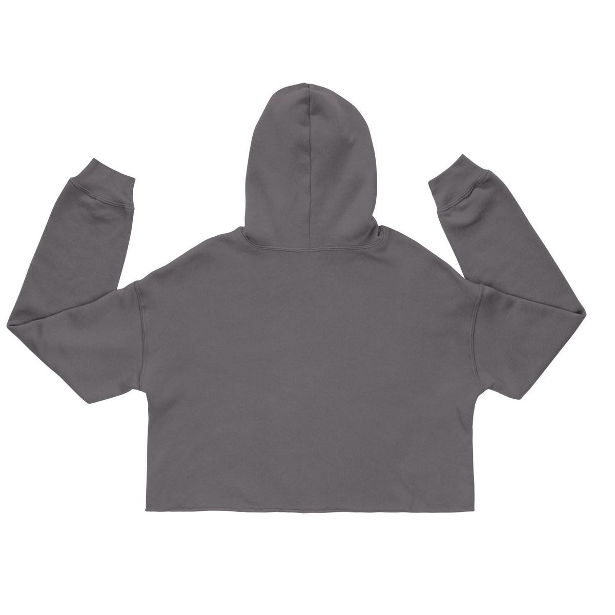 Wigette Daisy Shades cropped hoodie in Storm, flat back view