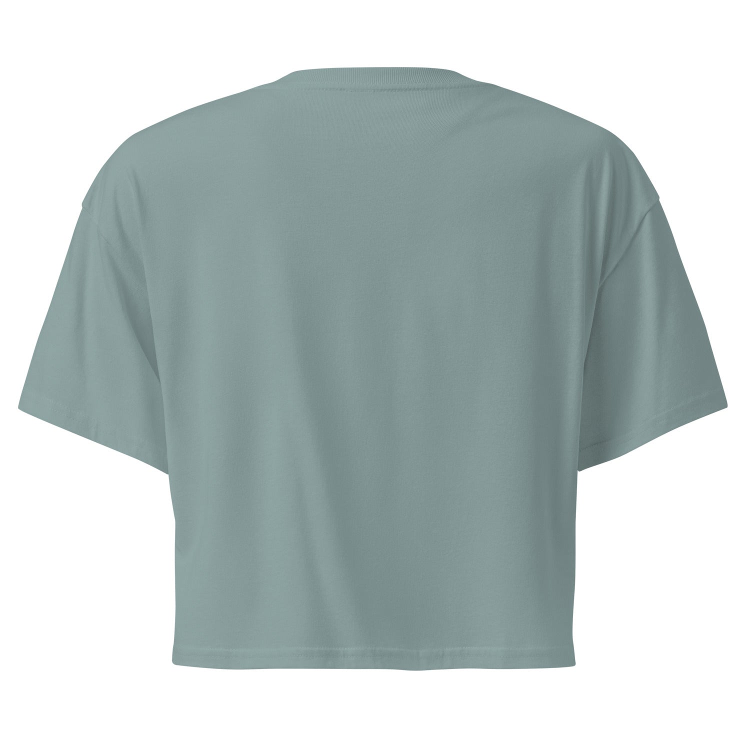 Wigette Mixtape Tee in Mineral - back garment view